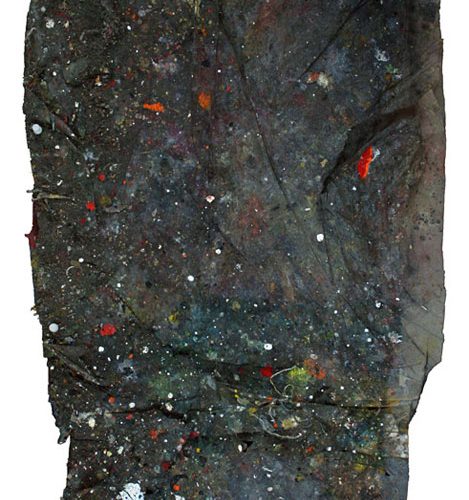 Fossile d 'atelier no - A-829 | huile, acrylique, pastel, collage sur toile | 2010